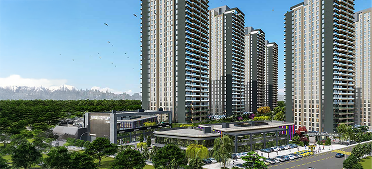 Jewel Premium İncek