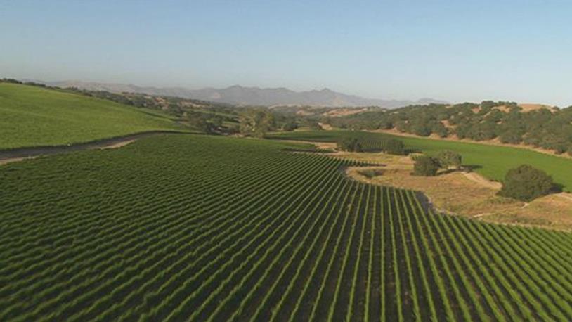 Kültür Arazisi Nedir?