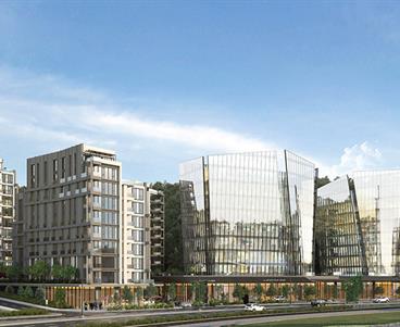 Vadi Koru Projesi Nerede? Vadi Koru Projesi Nerede?