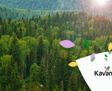 Kavanya Koru Projesi Yarın Satışa Çıkıyor Kavanya Koru Projesi Yarın Satışa Çıkıyor