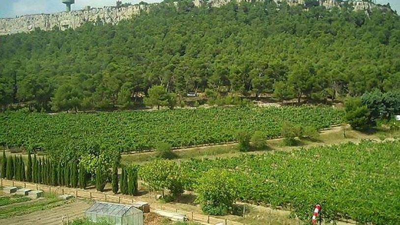 Atatürk Orman Çiftliği Yeni Yapılaşmalara Açılıyor!