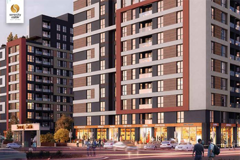 Serenity Cadde Serenity Cadde