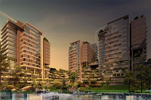 Hayalden Hayata... Hayalden Hayata...