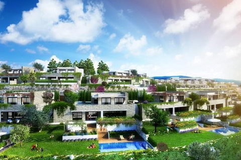 The Bo Viera The Bo Viera