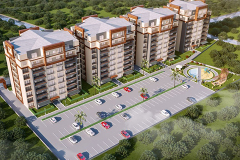 Anda Park Millet Anda Park Millet