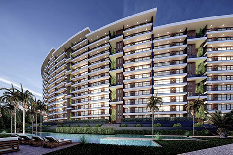 Sirius Florida Sirius Florida