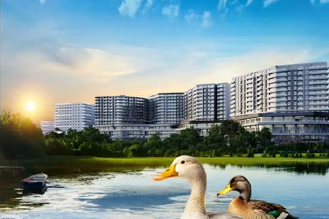 Gamador Parla Gamador Parla