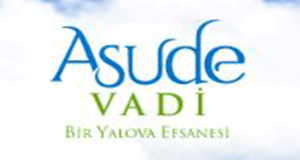 Asude Vadi