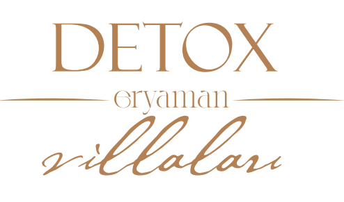 Detoks Eryaman Villaları