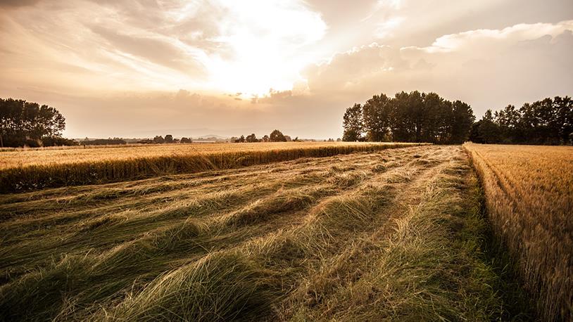 Hisseli Arsa Alırken Dikkat Edilecekler!