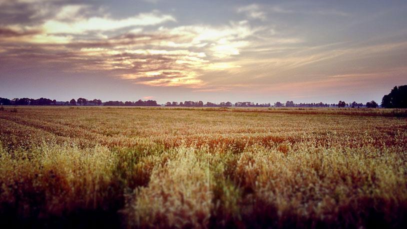 Arsa Metrekaresi Nasıl Hesaplanır?