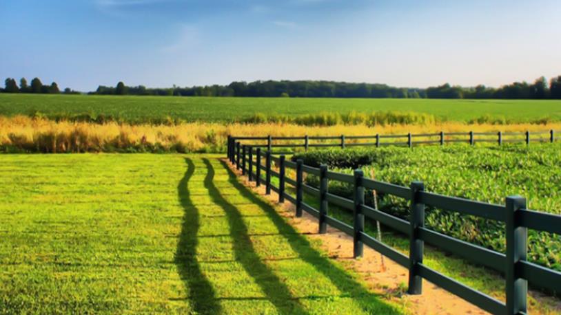 5 Soruda Arsa-Arazi Farkı!