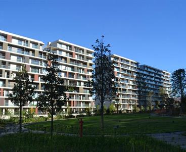 Rüya Gibi Bir Yaşam; Exen İstanbul