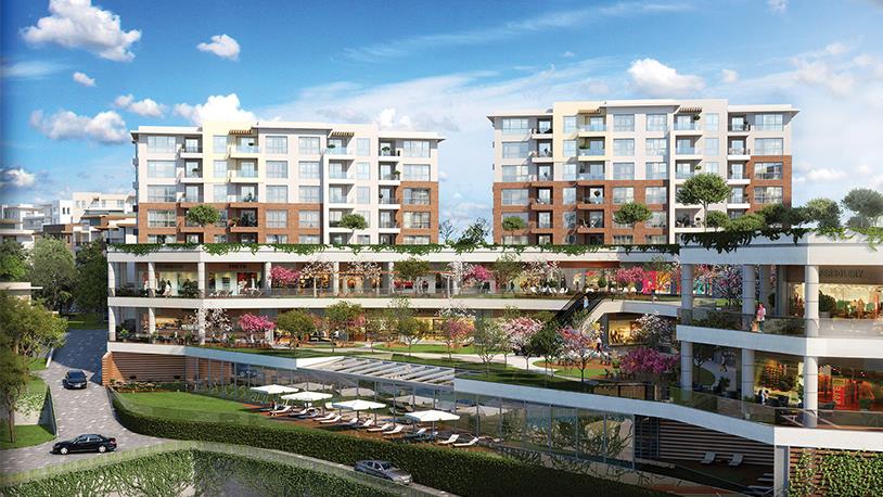 Şehrin İçinde Doğal Yaşam: Eston Şehir Koru