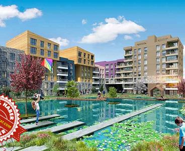 Doğayı Evinize Getirmek İster Misiniz?