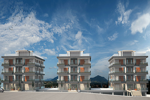 AcarVadi'de Yaşam Başlıyor