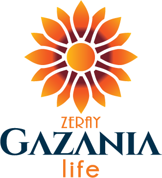 Zeray Gazania Life